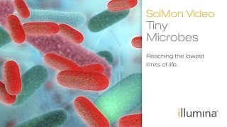 Tiny Microbes Reaching the Lowest Limits of Life  Illumina SciMon Video [upl. by Harriet]