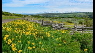 Pool Creek amp Rim Trails Uncompahgre Plateau [upl. by Aisereht9]