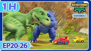 GOGODINO EXPLORERS EP2026 Compilación  1 hora Dibujos Animados Dinosaurios para niños Español [upl. by Lu680]