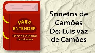 Para Entender  Sonetos  Vestibular Unicentro 2024 [upl. by Jurgen]