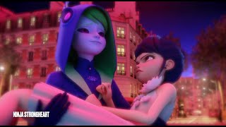 Señorita  FelixMarinette  Miraculous Ladybug MV [upl. by Aeret]