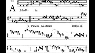 Alleluia pascha nostrum Mass for Easter Day Mode VII [upl. by Aisa]