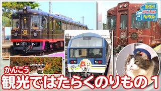 22分【のりもの図鑑】観光ではたらくのりもの1（観光列車） [upl. by Elyssa]