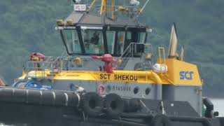 Tugboat《SHEKOU 蛇口》駛經青馬橋 20240908 P3260226 [upl. by Lipcombe305]