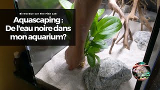 AQUASCAPING  Aquarium amazonien deau noire 200 litres [upl. by Llyrehc307]