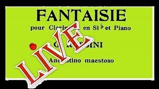 Rossini Fantaisie pour clarinette et piano live  S Del Mastro clarinet R Caramella piano [upl. by Nolyak]