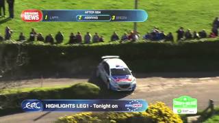 Circuit of Ireland Rally 2014  After SS4 [upl. by Acirrehs]