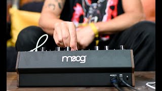 Moog DFAM  Percussion Synth Techniques with Baseck [upl. by Inod]