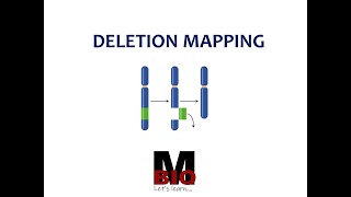 DELETION MAPPING [upl. by Tobias]