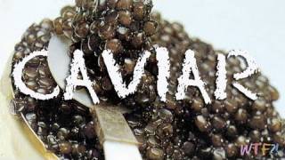 What Is and How to Eat Caviar Caviar 101 [upl. by Rochella337]