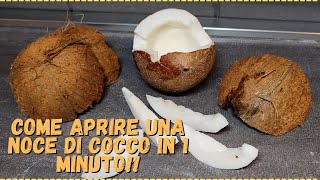 Come aprire una noce di cocco in un minuto [upl. by Yalhsa]