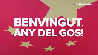 Benvingut any del gos [upl. by Lister]