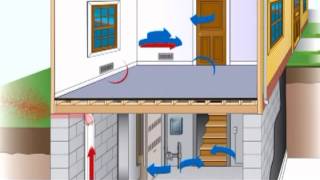 The Better Basement Dehumidifier EZ Breathe [upl. by Ashling]