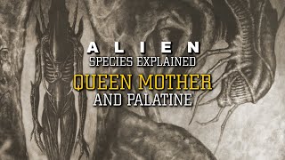 The Queen Mother Queen Mother Palatine and Rogue Stage 7 XX121  Alien Species Explained [upl. by Neeneg]