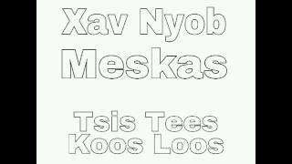 Xav Nyob Meskas  Tsis Tees Koos Loos [upl. by Fleur]