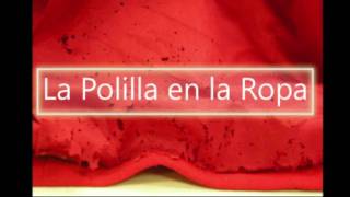 Polillas de la ropa [upl. by Aisile]