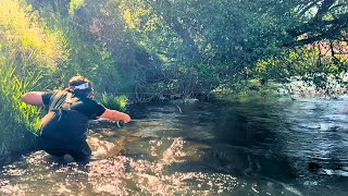 Deschutes River Salmon Flies Fly Fishing 4Day Float [upl. by Dorice]