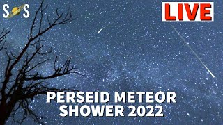 Perseid Meteor Shower 2022 Live [upl. by Shipman]