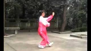 陈翠娥老师 太极四十二式 tai chi 42 formflv [upl. by Saber]