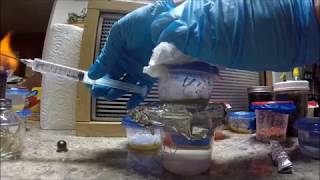 How toTurning 1 Spore Syringe into 10 Pure Liquid Culture [upl. by Wendie]