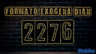 Como diligenciar formato 2276 información exógena DIAN TUTORIAL [upl. by Magda]