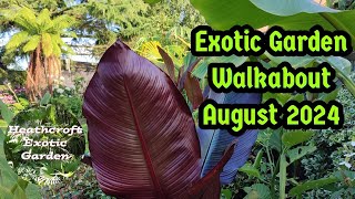 Exotic Garden Walkabout August 2024 [upl. by Naltiak]