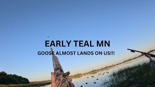 Early Teal MN GOOSE Almost LANDS On US [upl. by Elokcin]