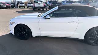 2015 Mustang Convertible Walkaround [upl. by Einomrah]