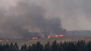 Davis Fire  Reno Nevada  Wildfire [upl. by Utir714]