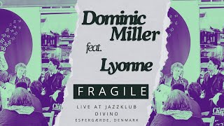 Dominic Miller feat Lyonne  Fragile [upl. by Nylrahc]