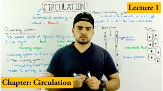 how Circulation works Circulation and circulatory system overview Chapter circulation Video 1 [upl. by Eulalee]