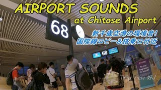 【AIRPORT SOUNDS】新千歳空港 国際線の環境音を楽しむ ASMR at CTS Airport [upl. by Sherwin730]