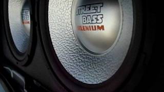 selenium street bass 250 RMS [upl. by Notlit]