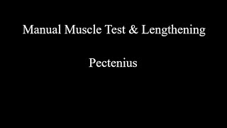 Manual Muscle Test amp Lengthening  Pectineus [upl. by Aropizt]