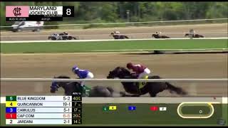 Unbelievable Horse Race at Laurel [upl. by Gnuhn]