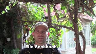 Cribs Elie Seckbach [upl. by Lymann477]