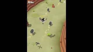 Rodeo stampede [upl. by Mercier]