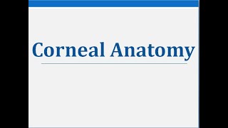 Corneal Anatomy  Parekh Vision Care [upl. by Etteneg]