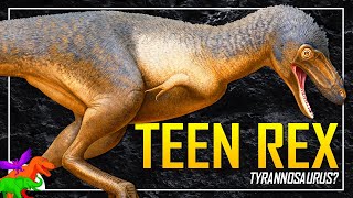 Kids Discover The Newest Juvenile Tyrannosaurus rex Skeleton – Meet Teen Rex [upl. by Inait216]