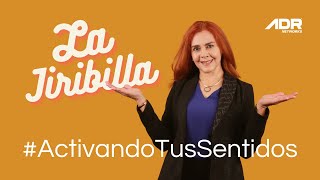 Documental Ahora que estamos Juntas de Patricia Balderas  La Jiribilla [upl. by Ecnerrat499]