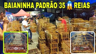 Feira do cordeiro baianinha 35 reias 😱 imperdível tudo barato e acessórios e só aqui [upl. by Millan]