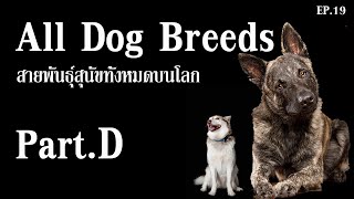 All Dog Breeds รวมสายพันธุ์สุนัขทั้งหมดบนโลก  PartD [upl. by Dieball]