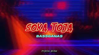 BASSGANAS🔥  SOKA TOJA PTRYNS REMIX NEW 2024 [upl. by Annecorinne]