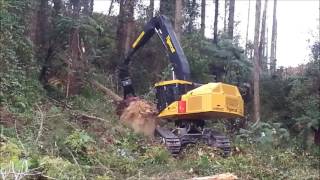 Felling Head SATCO SAT325E on Tigercat LS855C [upl. by Marozas437]