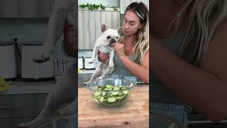 Viral cucumber salad [upl. by Brianne]