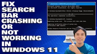 How To Fix Search Bar Crashing or Not Working in Windows 1110 [upl. by Ahdar]