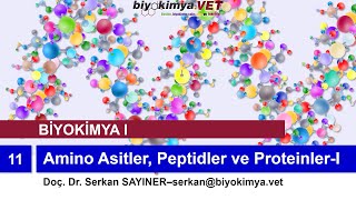 BİYOKİMYAI  Konu 11 Amino Asitler Peptidler ve ProteinlerI [upl. by Adieren]