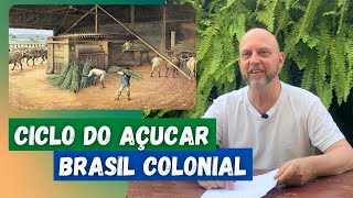 O CICLO DO AÇÚCAR  Sociedade e Economia Colonial [upl. by Neltiak]