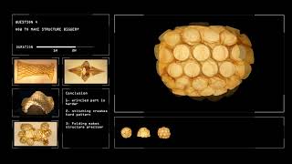 Microbial Cellulose [upl. by Cherian766]