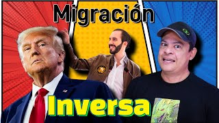 TRUMP y Americanos Visitarán El SAlvador [upl. by Fredella534]